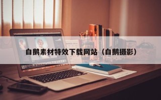 荣成白鹅素材特效下载网站（白鹅摄影）